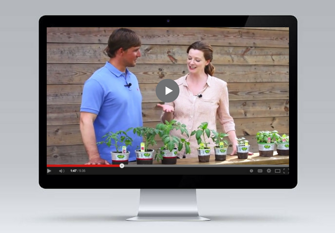 Bonnie Plants Video How To Grow screen