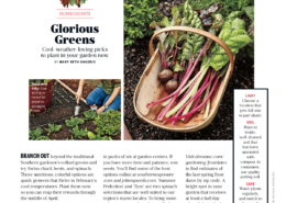 Southern Living Feb18 Homegrown Gardening